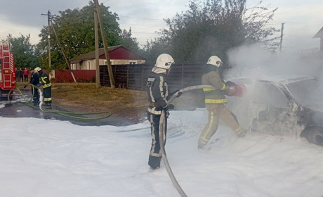 Пожежа у Великих Пріцьках: горіла автівка