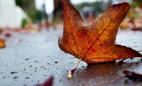 Погода в Кагарлику та Ржищеві на тиждень - з 16 по 22 жовтня