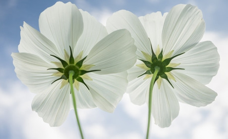 Гороскоп на тиждень