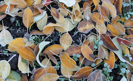 Погода на 16 - 22 жовтня: синоптики прогнозують похолодання, місцями пройде мокрий сніг