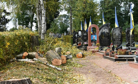 На центральному кладовищі у Звягелі розпочали вирубування аварійних дерев