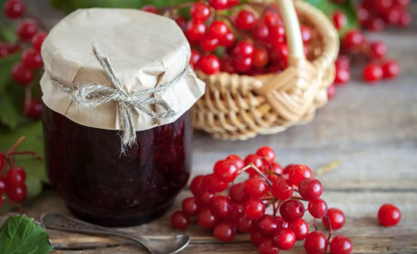 Корисні властивості калини