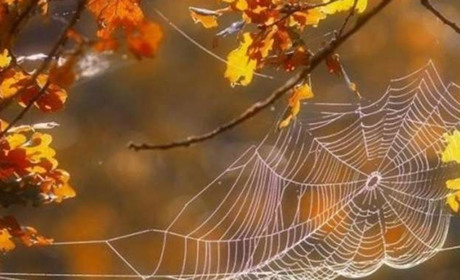 Погода на Кагарличчині та Ржищівщині на вихідні 21 і 22 жовтня