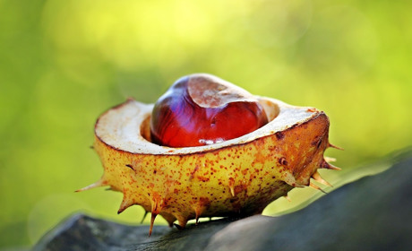 Погода на 23 - 29 жовтня: осінніх дощів побільшає