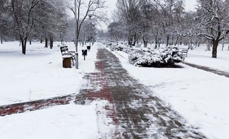 «Паркове господарство» придбало 77 тонн технічної солі для благоустрою: подробиці закупівлі