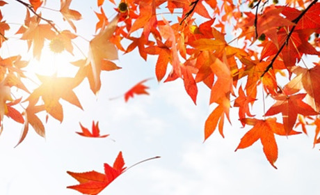 ПРОГНОЗ ПОГОДИ НА 27 - 31 ЖОВТНЯ В НІЖИНІ ТА ОБЛАСТІ