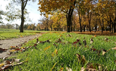 Фото дня: останні дні жовтня у нікопольському парку