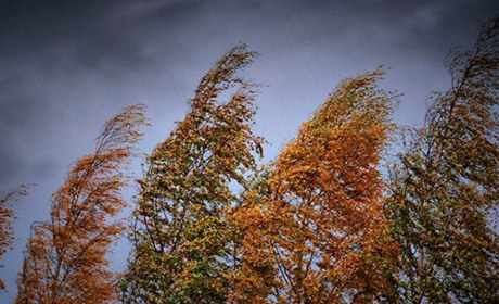 Погода на Кагарличчині та Ржищівщині на вихідні 28 і 29 жовтня