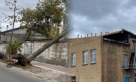 На Переяславщині вирує негода: з будівель позривало дахи ФОТО