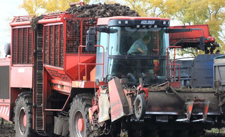 У фермерському господарстві "Широкоступ", що на Кагарличчині, урожайність цукрових буряків 850 ц/га