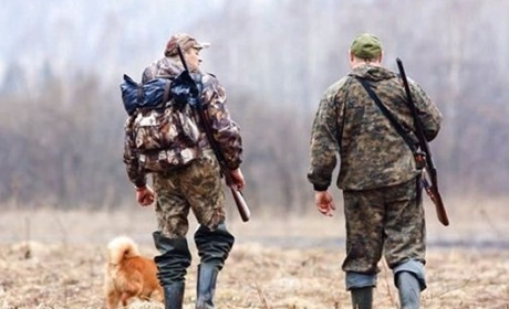 У листопаді на Полтавщині планують масовий відстріл лисиць