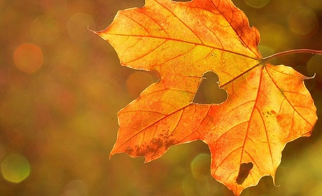 Чи будуть зміни для українців з 1 листопада 2023: про тарифи, пенсії, мобілізацію та виплати ВПО