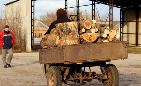 І знову про дрова. У Лозовій для опалення частково використовуватимуть видалені аварійні дерева