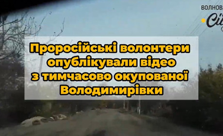 Як виглядає тимчасово окупована Володимирівка Волноваського району та як там живуть люди. Відео