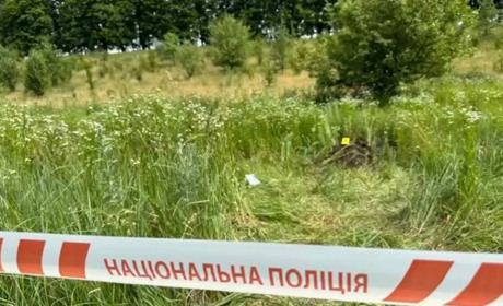 Вбивство у Зеленому Яру: розслідування завершено, справу направлено до суду