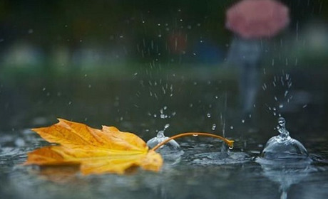 Погода на Кагарличчині та Ржищівщині на вихідні 4 і 5 листопада