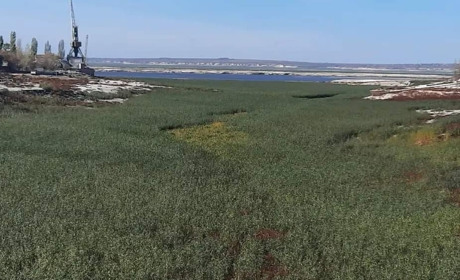 Каховське водосховище чи Великий Луг? Як науковці бачать в перспективі відновлення Каховської ГЕС