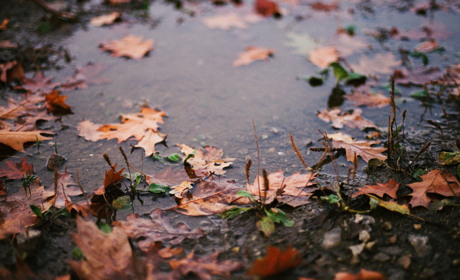 Погода в Кагарлику та Ржищеві на тиждень - з 6 по 12 листопада