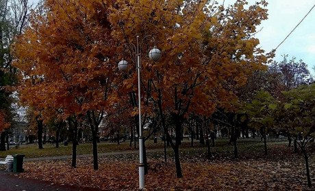 Погода у Гадячі на тиждень: температура поступово знижується