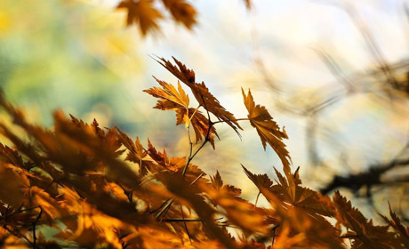 Погода у Старокостянтинові на 6-12 листопада: яким буде новий тиждень