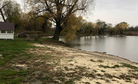 У Крупському в річку випустили 350 кілограмів білого амура та коропа