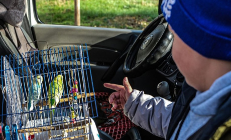 Останніх двох дітей евакуювали з прифронтових сіл Донеччини
