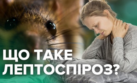 На Чернігівщині на лептоспіроз захворіла 1-річна дитина. Найбільше хворих - у Ніжинському районі