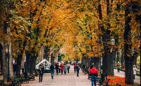 На концерт при свічках чи благодійний стендап? Куди сходити в Одесі у листопаді: календар заходів