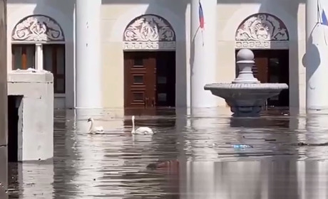 Працівники культури Нової Каховки відзначили свято у Кривому Розі