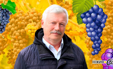 Про виноград і вино — захоплення родини Шуляків з Ніжина