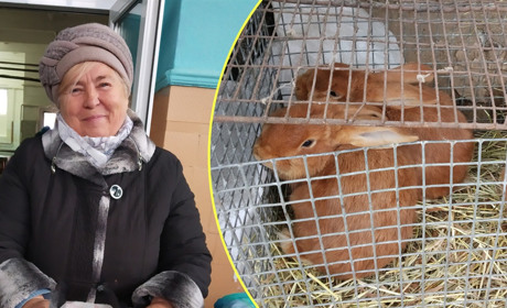 На переяславському базарі кілограм кролятини коштує 200 гривень, а копченого сома – 400