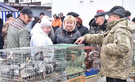 У Старокостянтинові провели виставку-ярмарок тварин і птиці. Що продавали