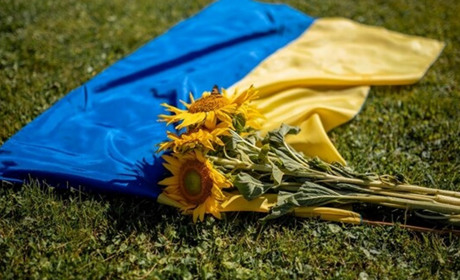 Алея пам’яті у Гадячі: визначили підрядника для виготовлення стендів