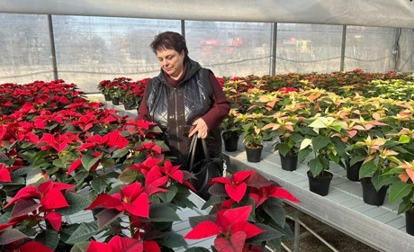 Новокаховські освітяни відвідали професійні школи в Італії