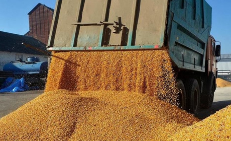 Повідомлено про підозру. Двоє агропідприємців з Луганщини працюють на окупантів