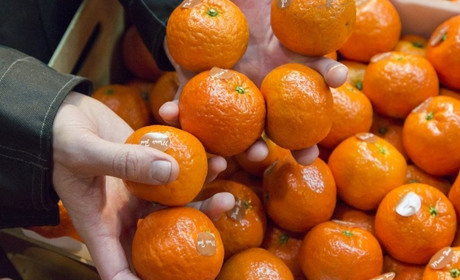 В Україну завезли отруйні мандарини, які можуть спричинити розлад серцево-судинної системи