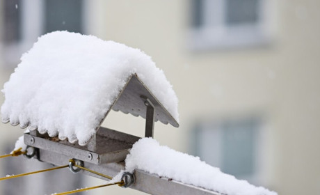 Прогнозують хуртовину: що робити коли сніжить