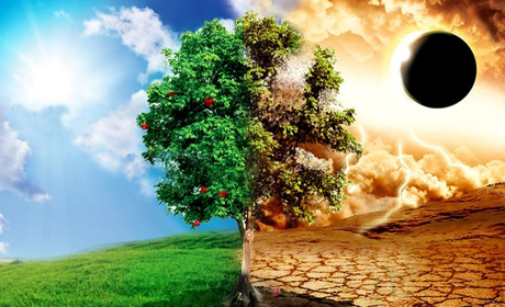 Щоденник війни. Тиждень вісімдесят п'ятий. Нехай переможе добро