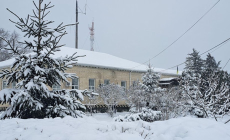 Хуртовина та ожеледиця. Яку погоду прогнозують у Гадячі в останній тиждень осені