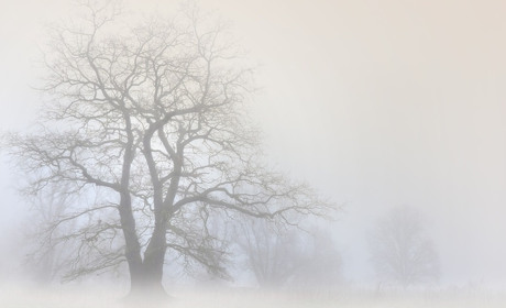 Погода у Старокостянтинові на 27 листопада - 3 грудня: яким буде тиждень