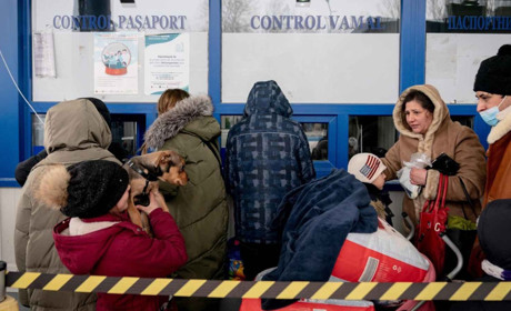 Половина евакуйованих українців у Данії планують залишитися у країні. Дані дослідження