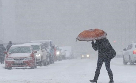 Наслідки негоди в Южному та громаді: пошкодження закладів освіти та викорчовані дерева