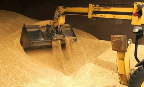 Отримати модульні склади для зберігання зерна можна через електронну систему ДАР