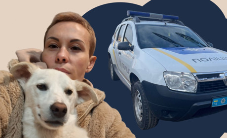 Собаку Михася з Біляївки поліцейською машиною везли на лікування: тепер йому шукають сім’ю