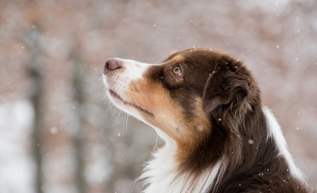 Погода в Барі на тиждень: сильних морозів не прогнозують