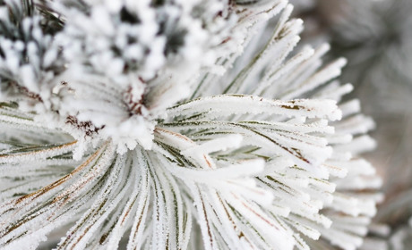 Погода у Старокостянтинові на 4-10 грудня: яким буде перший тиждень зими