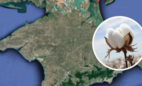 Щоденник війни. Тиждень вісімдесят сьомий. Дуже вже хочеться гарних новин