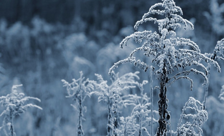 Прогноз погоди у Сватовому та інших містах України