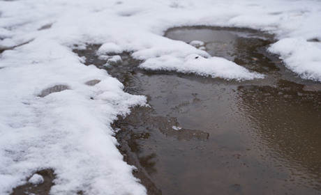 Погода на Кагарличчині та Ржищівщині на вихідні 16 і 17 грудня