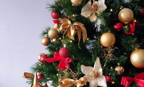 Ідеї: як прикрашати ялинку на рік Дракона 2024